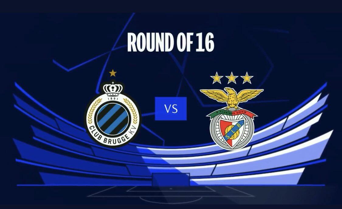 从张伟丽看 从张伟丽看